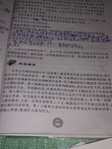 校園里的一件事300字四級(jí)作文