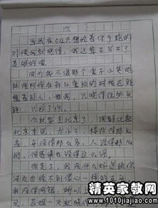 同學(xué)們在校園里做什么作文