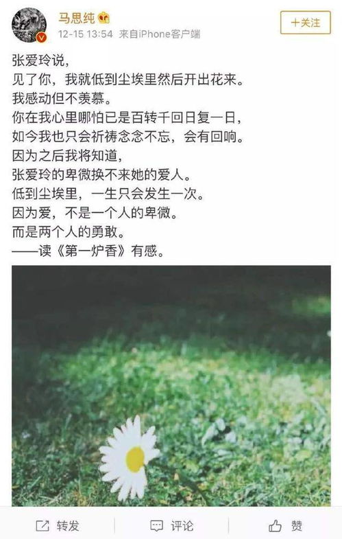 校園之星的作文,說說我的校園作文,校園之星評(píng)選活動(dòng)作文