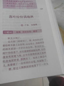 作文,春夏秋冬,描寫(xiě),字左右