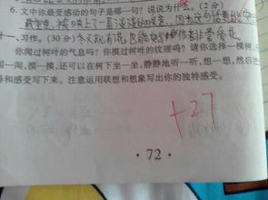 校園里的什么樹(shù)作文怎么寫