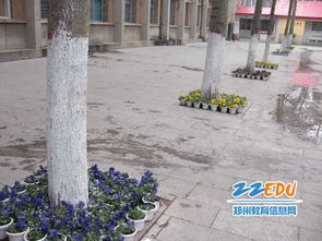 綠化美化校園的標(biāo)語(yǔ),綠化美化校園的手抄報(bào),綠化美化校園環(huán)境內(nèi)容