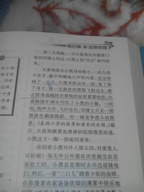 校園里來了一群小動(dòng)物寫一篇作文