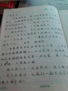 關(guān)于校園里的收獲作文