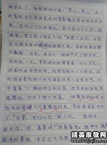 關(guān)于寫校園的風(fēng)景的作文,小學(xué)作文寫風(fēng)景的作文,寫一篇校園的風(fēng)景作文
