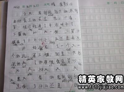 愛護地球綠化校園作文450字