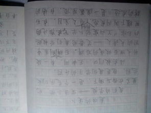 定點(diǎn)換景的作文600字,定點(diǎn)換景的作文300字,定點(diǎn)換景寫景作文