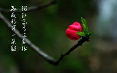 校園春景的作文片段200字左右