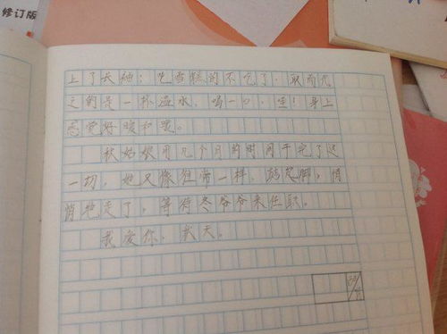 快樂(lè )的校園課間作文二級