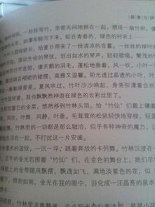 作文,歡樂(lè )時(shí)光,校園