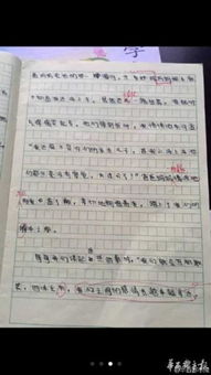 在校園幫助同學的作文開頭結尾怎么寫