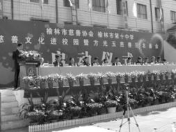 關(guān)于慈善文化進(jìn)校園的作文