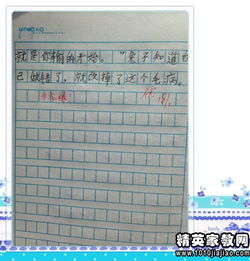 四級作文我們的校園評語(yǔ)集錦
