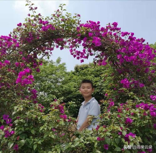 開(kāi)滿(mǎn)丁香花的校園作文700字六級