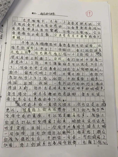 作文,藝術(shù)節,校園