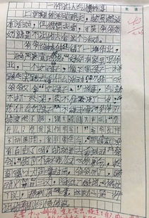 關(guān)于校園的地方很美的作文開(kāi)頭
