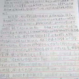 校園親情作文1000字