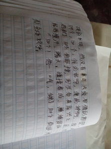 校園春天夢(mèng)作文的結尾怎么寫(xiě)