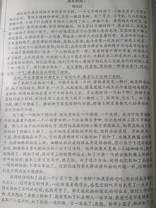 作文,一縷,春光,校園