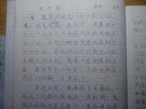 移步換景法的校園作文