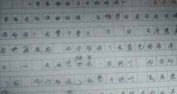 校園人物作文650字