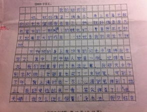 我的新校園600字作文七級