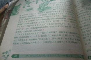 作文,運動(dòng)會(huì ),布局,校園