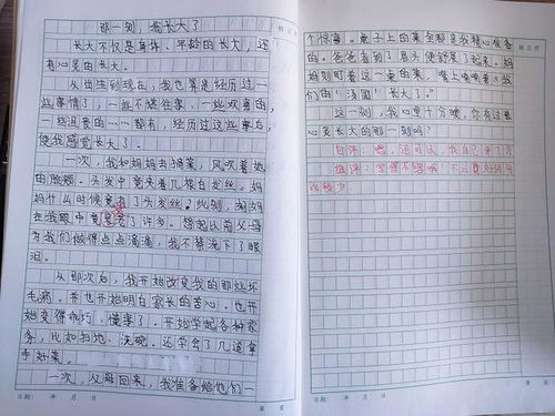 那一刻我感動(dòng)了作文校園