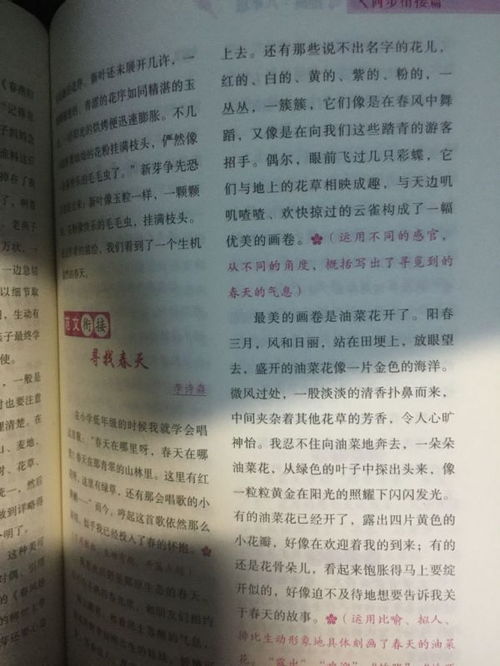 初中校園營(yíng)養餐作文700
