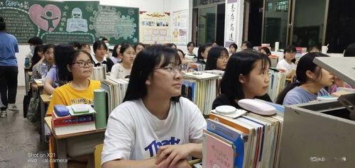 杜絕校園欺凌遠離校園暴力作文