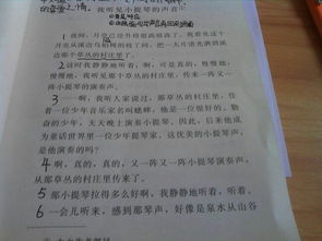 進(jìn)入校園的感受作文,關(guān)于校園欺凌的感受的作文,來到校園的感受作文