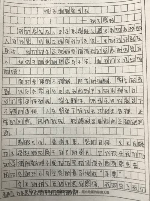 欺凌,小學(xué)生作文,預防,校園