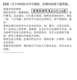 我是一棵校園榕樹(shù)的作文600
