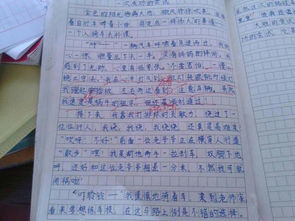 作文,雨中,初中,校園