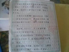 校園的清潔工的作文500字