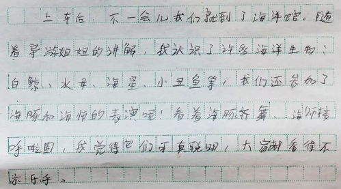 魅力足球快樂(lè )校園作文600字