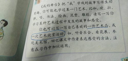校園說(shuō)明文500字左右作文