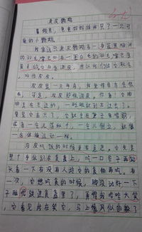我愛(ài)校園的桔樹(shù)作文300