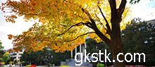 校園的美景作文600字作文,校園美景作文600字初中秋季,校園美景作文600字左右
