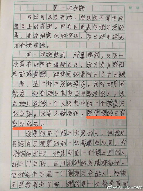 作文,校園,一少篇