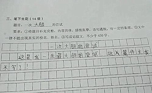 用動(dòng)靜鞋和來(lái)寫(xiě)放學(xué)后的校園作文
