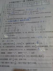 幸福校園六級作文