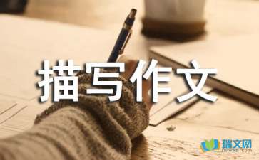 關(guān)于校園的場(chǎng)面描寫(xiě)作文