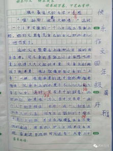 作文校園樂(lè )趣