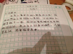 作文,藝術(shù)節,描寫(xiě),場(chǎng)面