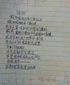 小學(xué)作文寫(xiě)校園里感動(dòng)人心的事情