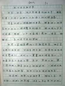 校園作文的優(yōu)美結尾,校園的秋天作文結尾,校園作文開(kāi)頭結尾