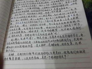 校園的快樂(lè )時(shí)光作文450