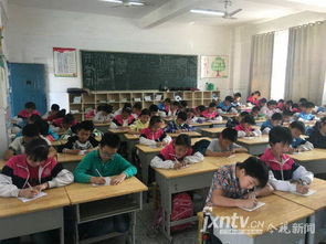 陽光校園我們是好伙伴征文800字,陽光校園,我們是好伙伴主題作文,陽光校園我們是好伙伴征文