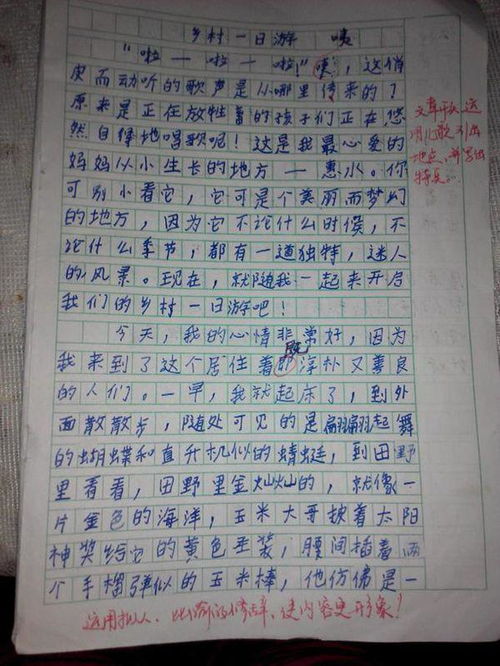 校園里的一處景物作文四級四百字